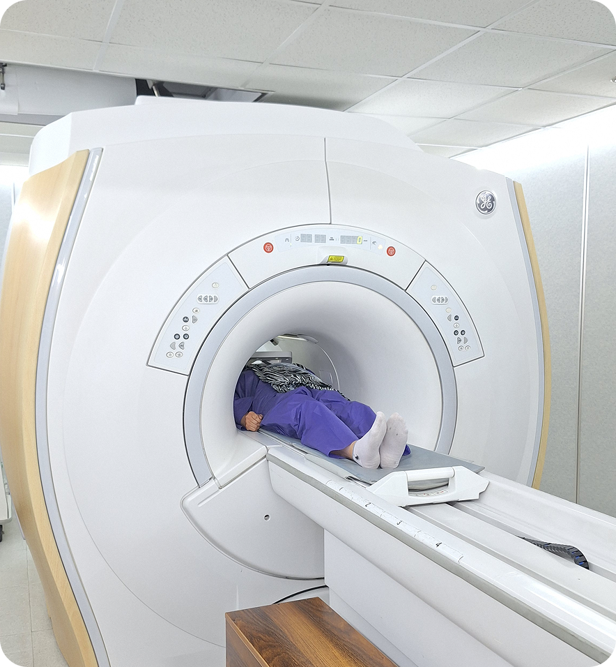 تصویر برداری